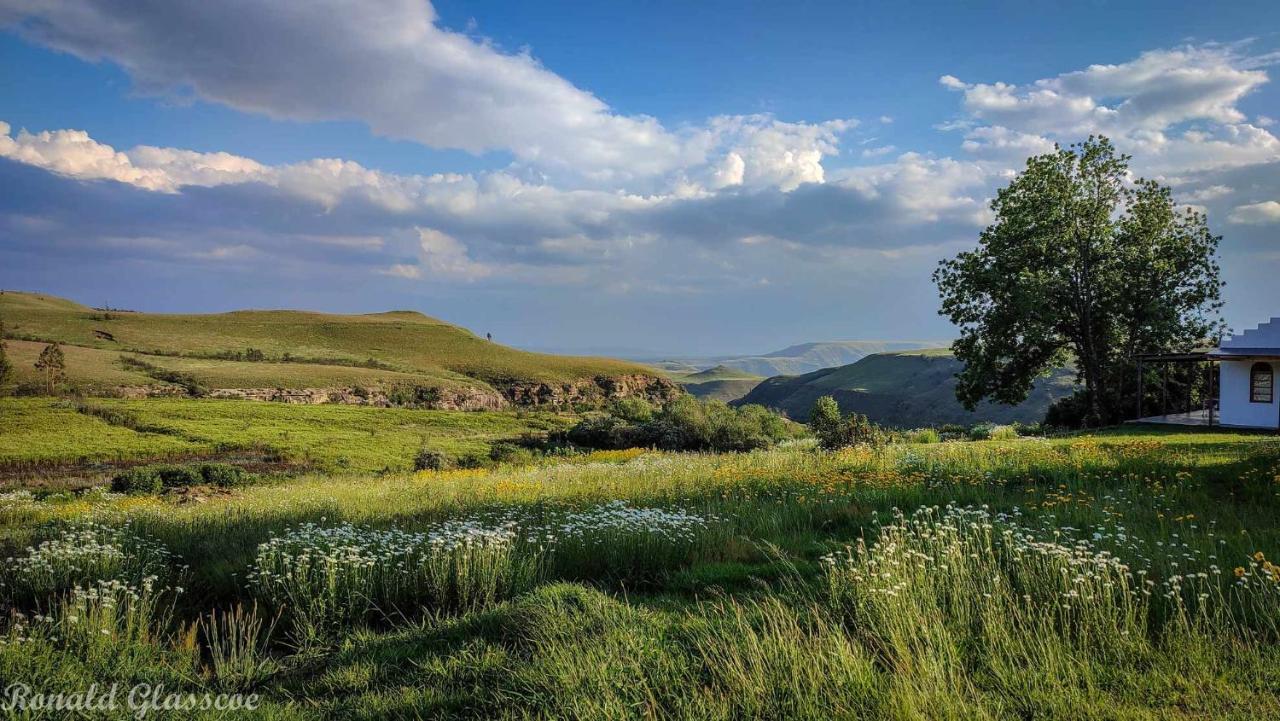 Green Lantern Inn Van Reenen Екстериор снимка