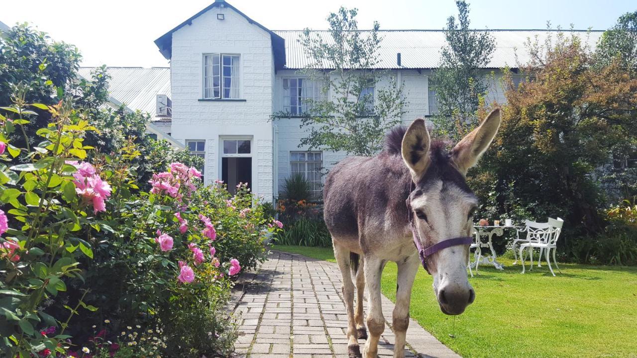 Green Lantern Inn Van Reenen Екстериор снимка